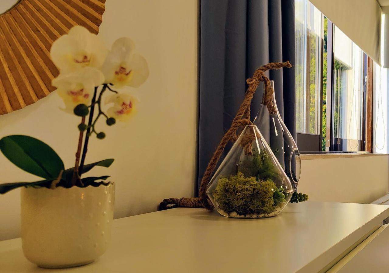 Stylish And Elegant Studio - Best View And Location In Coimbra Downton Eksteriør billede