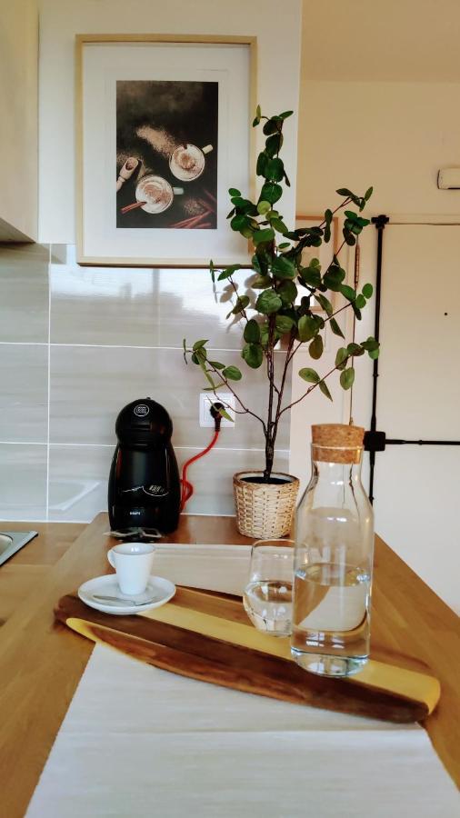 Stylish And Elegant Studio - Best View And Location In Coimbra Downton Eksteriør billede